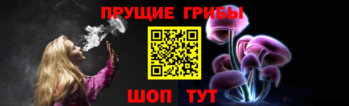 Псилоцибиновые грибы MAGIC MUSHROOMS  Вход с VPN  Лесной 